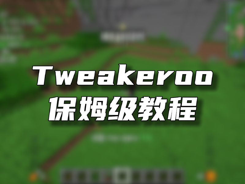 Featured image of post Tweakeroo模组保姆级教程